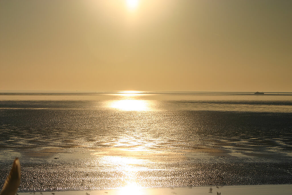 Ameland strand en zee